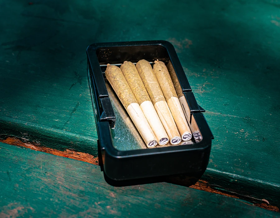 Cannabis joints in a case on a wooden table.