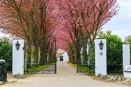 Oprit naar wit gebouw met een hekwerk van donkergroen metaal en witte stenen, met daarachter bomen in boei. 