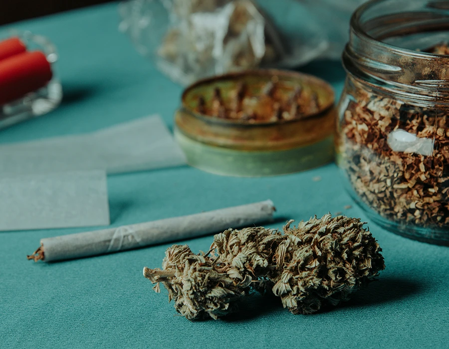 Cannabis buds and joints displayed on a table.