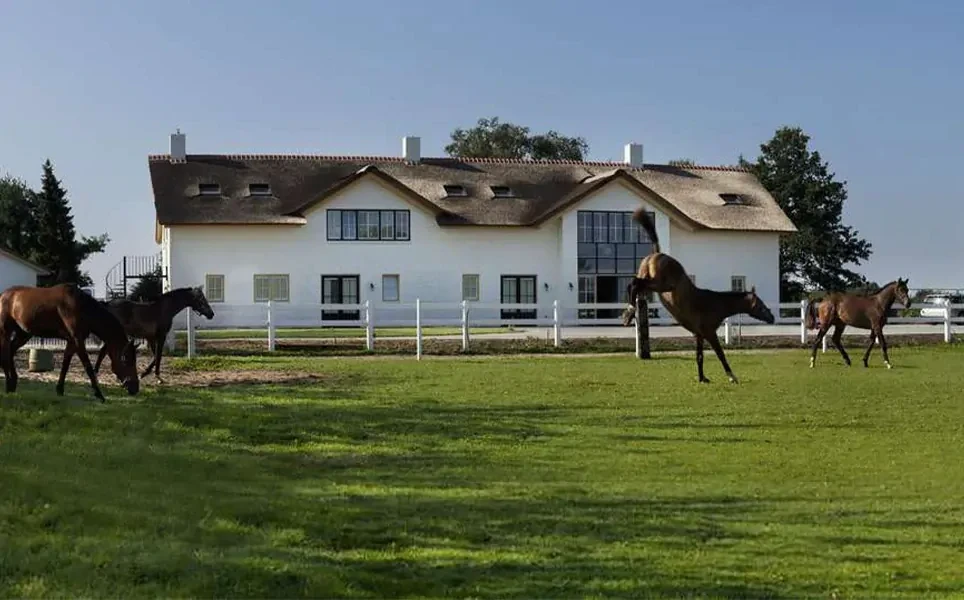 Buitenaanzicht van de Connection SGGZ afkickkliniek in Meerlo, met een weide met paarden en een wit gebouw op de achtergrond.